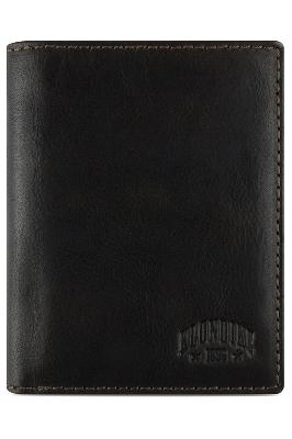 Бумажник KLONDIKE MOUNTAIN «Finn», 10 х 12 х 2,5 см