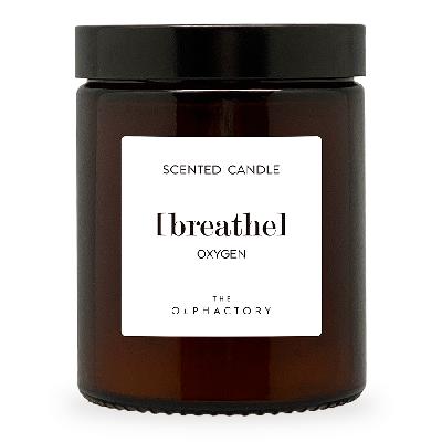 Свеча ароматическая the olphactory, breathe, oxygen, 30 ч