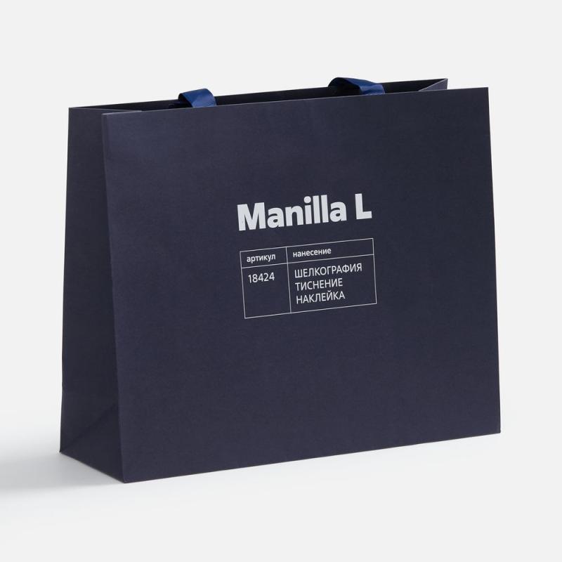Пакет бумажный Manilla L