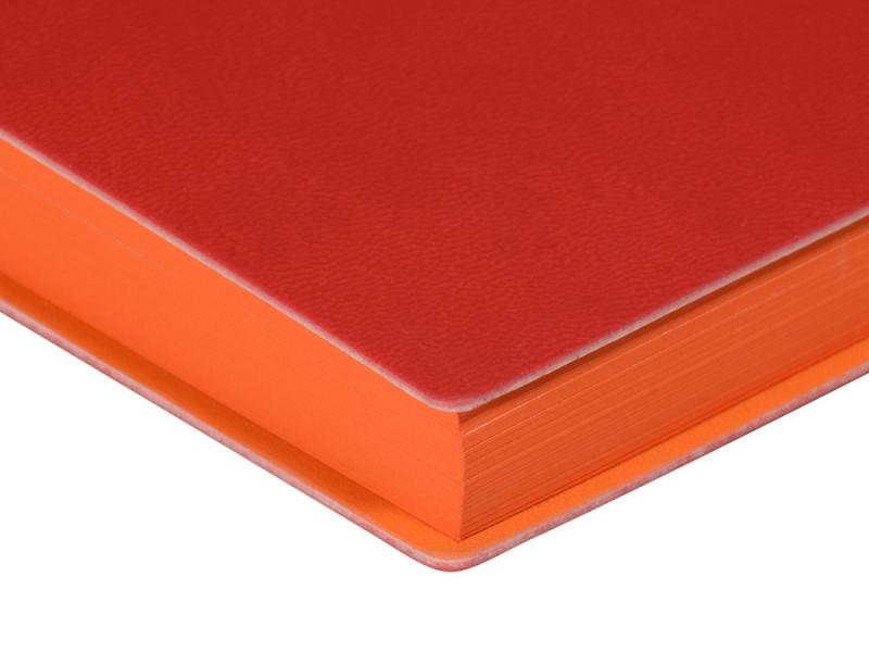 Ежедневник недатированный А5 Mercury