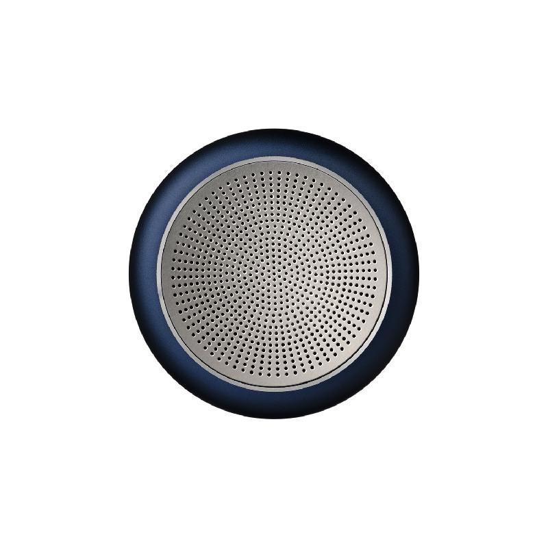 Беспроводная колонка Пассион (Passion) 80dB 600 mAh (Bluetooth 5.4)