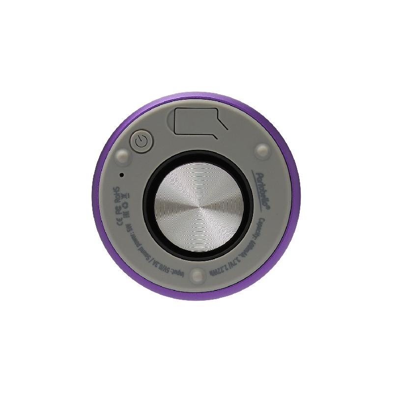 Беспроводная колонка Пэшн (Passion) 80dB 600 mAh (Bluetooth 5.4), 