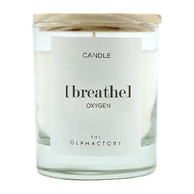 Свеча ароматическая the olphactory, breathe, oxygen, 40 ч