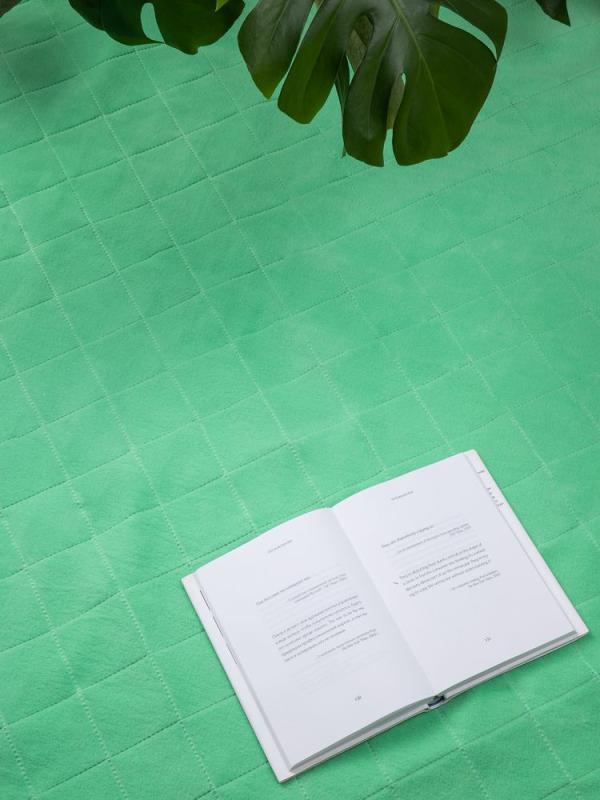 Плед для пикника Soft & Dry 2